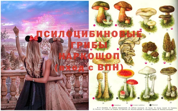 прущая мука Баксан