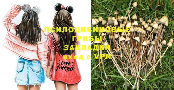 не бодяженный Балахна