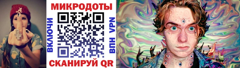 Галлюциногенные грибы Psilocybe хочу ОМГ ОМГ как войти Ершов